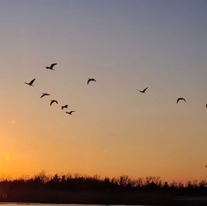 Meet your Posher, Nikita